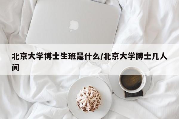 北京大学博士生班是什么/北京大学博士几人间