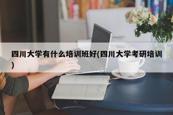 四川大学有什么培训班好(四川大学考研培训)