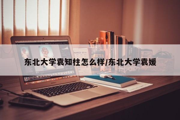 东北大学袁知柱怎么样/东北大学袁媛