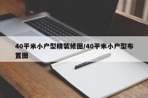 40平米小户型精装修图/40平米小户型布置图