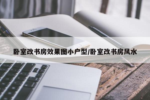 卧室改书房效果图小户型/卧室改书房风水