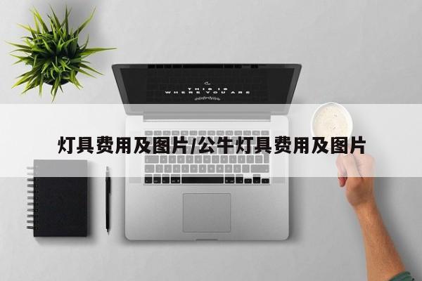 灯具费用及图片/公牛灯具费用及图片