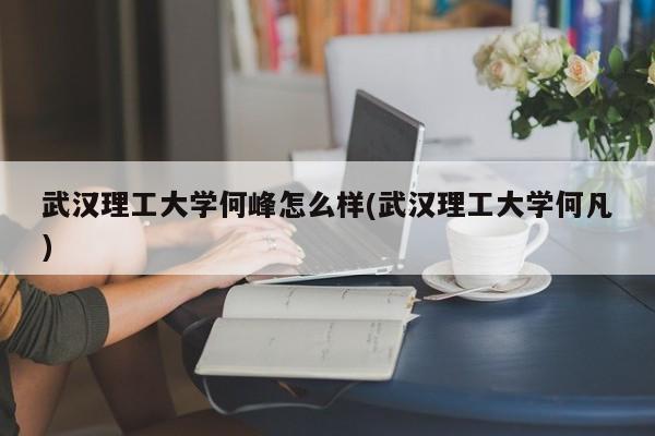 武汉理工大学何峰怎么样(武汉理工大学何凡)