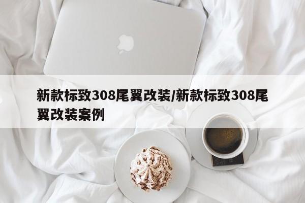 新款标致308尾翼改装/新款标致308尾翼改装案例