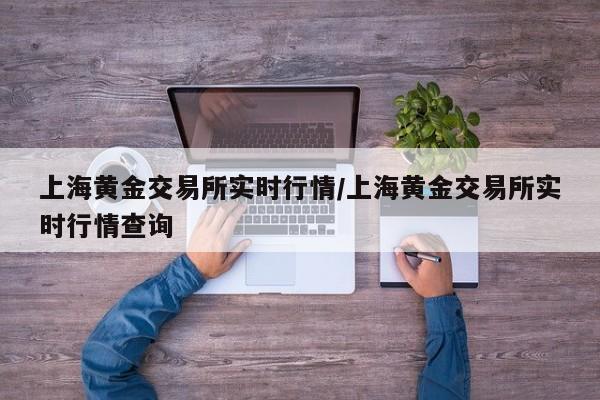 上海黄金交易所实时行情/上海黄金交易所实时行情查询