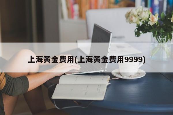 上海黄金费用(上海黄金费用9999)